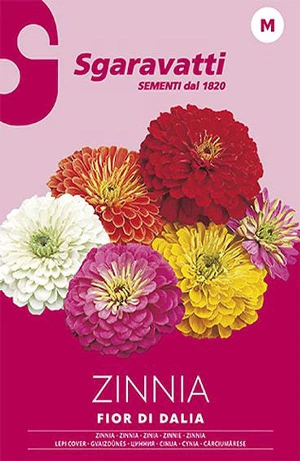 Semi per Prato Universale Zinnia Fior di Dahlia Sgaravatti 20 Pezzi