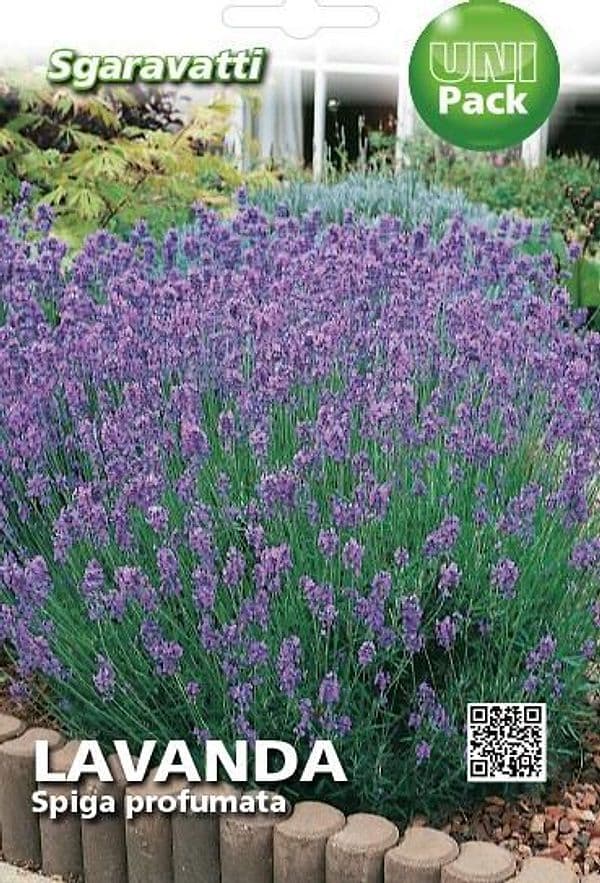 Semi Per Ortaggi E Vegetali Lavanda Spiga- 20 Pezzi - Sgaravatti in Erbe aromatiche BricoGo - Marano di Napoli, commercioVirtuoso.it