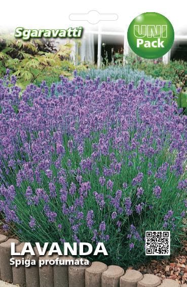 Semi Per Ortaggi E Vegetali Lavanda Spiga- 20 Pezzi - Sgaravatti in Erbe aromatiche BricoGo - Marano di Napoli, commercioVirtuoso.it