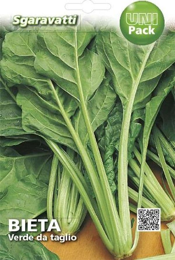 Semi Per Ortaggi E Vegetali Bieta Liscia Verde Da Taglio- 10 Pezzi - Sgaravatti in Vegetali BricoGo - Marano di Napoli, commercioVirtuoso.it