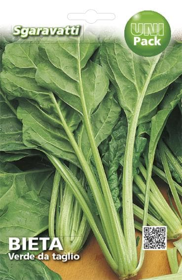 Semi Per Ortaggi E Vegetali Bieta Liscia Verde Da Taglio- 10 Pezzi - Sgaravatti in Vegetali BricoGo - Marano di Napoli, commercioVirtuoso.it
