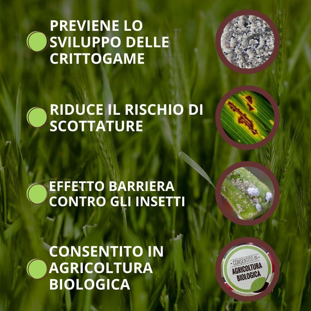 Polvere Di Roccia Zeolite Vithal Bio Kg.1 Vithal in Fungicidi BricoGo - Marano di Napoli, commercioVirtuoso.it