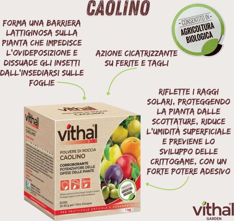 Polvere Di Roccia Caolino Vithal Bio Kg.1 Vithal in Fungicidi BricoGo - Marano di Napoli, commercioVirtuoso.it
