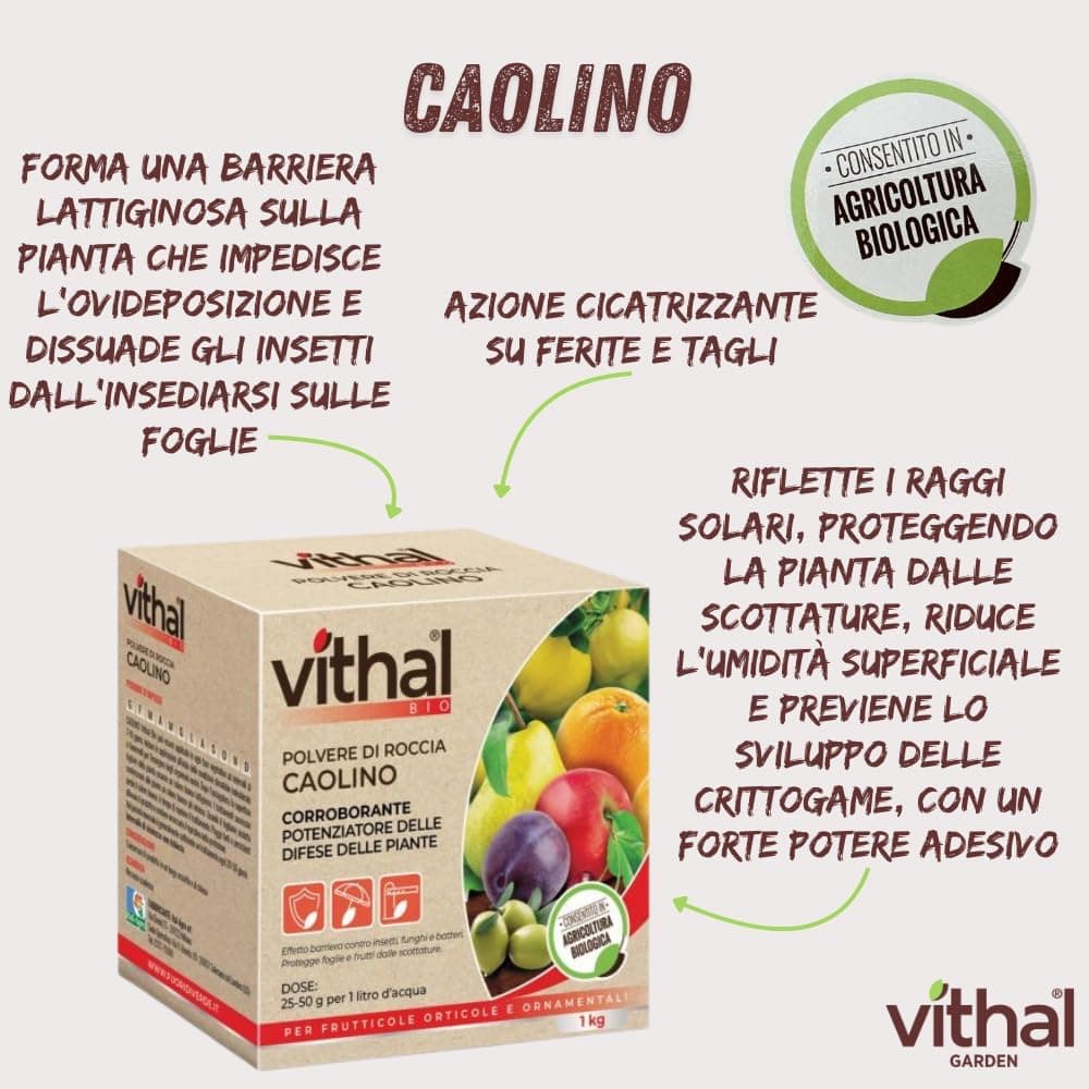 Polvere Di Roccia Caolino Vithal Bio Kg.1 Vithal in Fungicidi BricoGo - Marano di Napoli, commercioVirtuoso.it