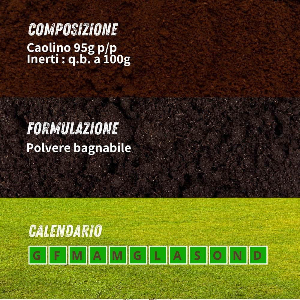 Polvere Di Roccia Caolino Vithal Bio Kg.1 Vithal in Fungicidi BricoGo - Marano di Napoli, commercioVirtuoso.it