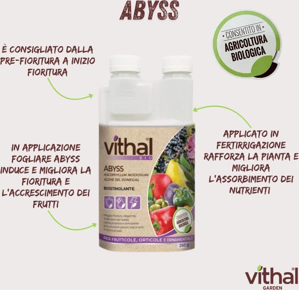 Stimolante Liquido Abyss Ml.250 Vithal in Curcuma BricoGo - Marano di Napoli, commercioVirtuoso.it