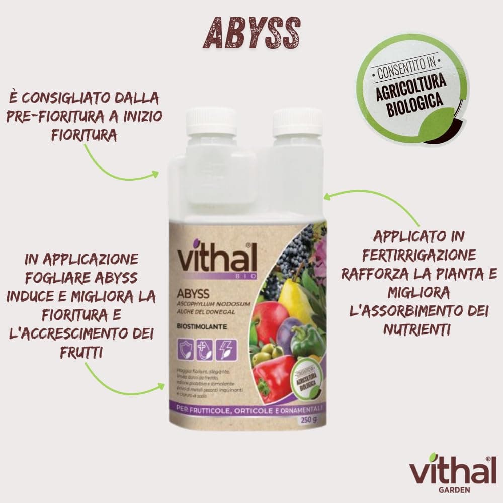 Stimolante Liquido Abyss Ml.250 Vithal in Curcuma BricoGo - Marano di Napoli, commercioVirtuoso.it