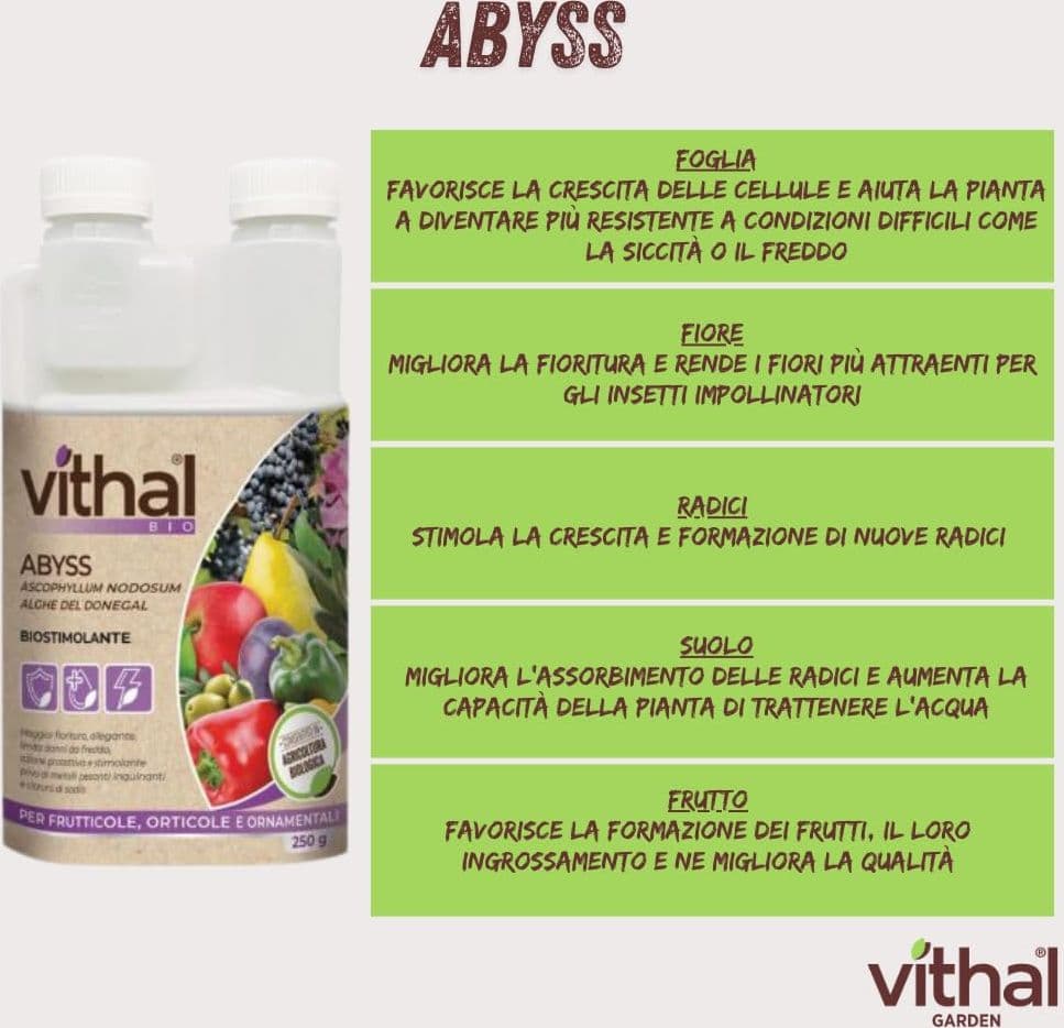 Stimolante Liquido Abyss Ml.250 Vithal in Curcuma BricoGo - Marano di Napoli, commercioVirtuoso.it