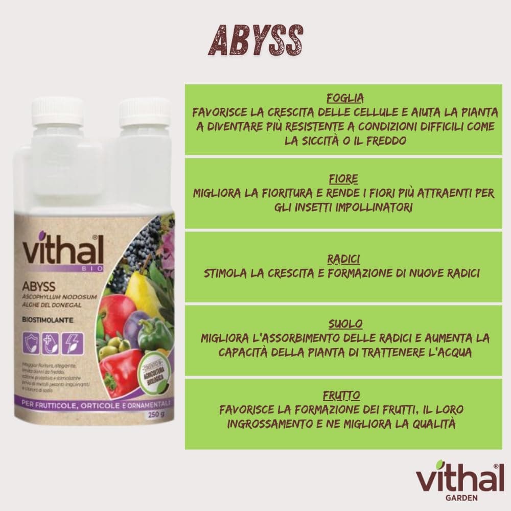Stimolante Liquido Abyss Ml.250 Vithal in Curcuma BricoGo - Marano di Napoli, commercioVirtuoso.it
