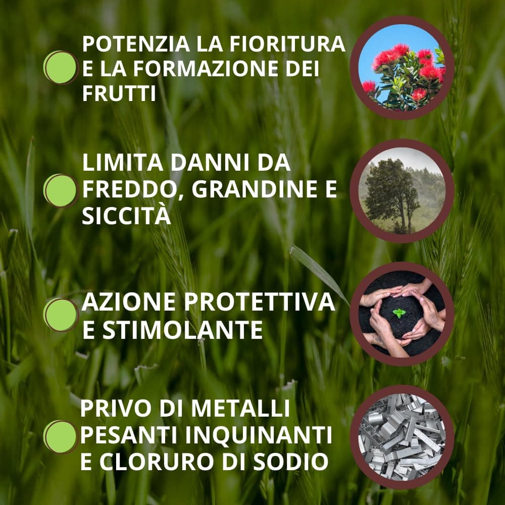 Stimolante Liquido Abyss Ml.250 Vithal in Curcuma BricoGo - Marano di Napoli, commercioVirtuoso.it