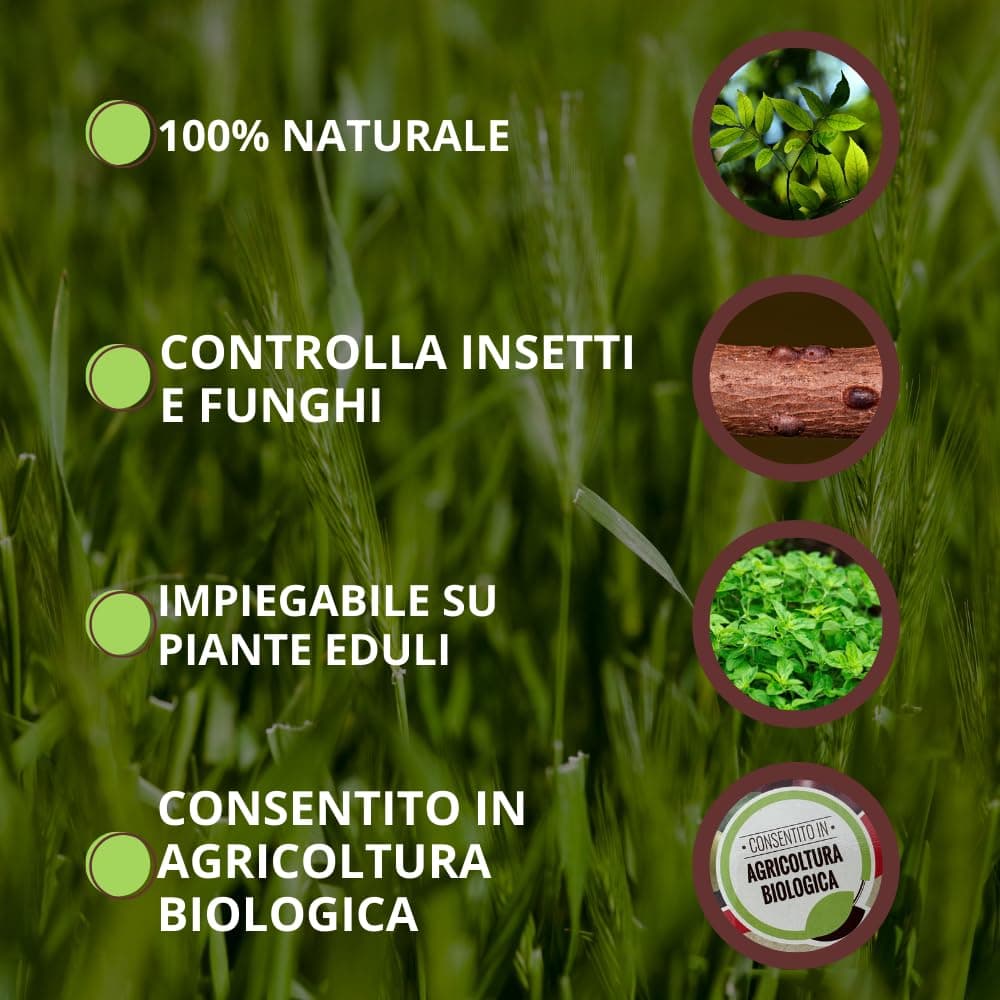 Liquido Protezione Totale 'Equisetum E Urtica' Ml. 750 - Vithal in Fungicidi BricoGo - Marano di Napoli, commercioVirtuoso.it