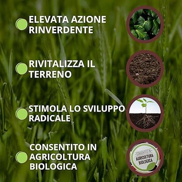 Concime Organico Fisioattivatore 'Blackjak Bio' Ml 500 - Vithal in Fertilizzanti multiuso BricoGo - Marano di Napoli, commercioVirtuoso.it