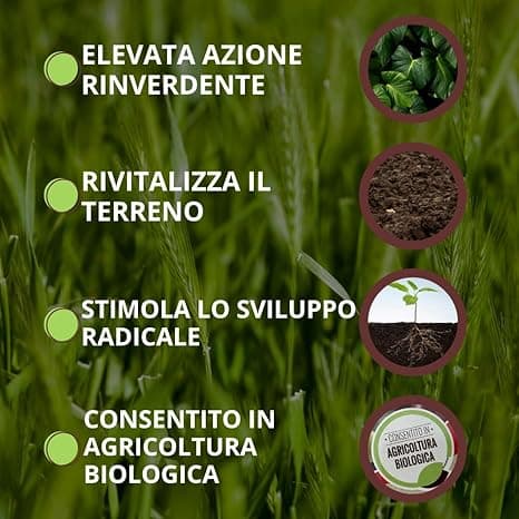 Concime Organico Fisioattivatore 'Blackjak Bio' Ml 500 - Vithal in Fertilizzanti multiuso BricoGo - Marano di Napoli, commercioVirtuoso.it