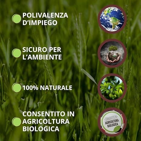 Liquido Bio Barriera Funghi Ml. 750 - Vithal in Fungicidi BricoGo - Marano di Napoli, commercioVirtuoso.it
