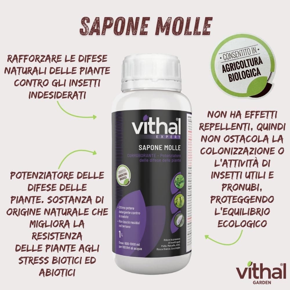 Sapone Molle Lt. 1 - Vithal in Concentrati Spray BricoGo - Marano di Napoli, commercioVirtuoso.it