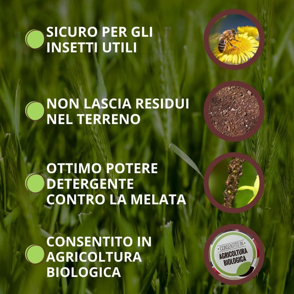 Sapone Molle Lt. 1 - Vithal in Concentrati Spray BricoGo - Marano di Napoli, commercioVirtuoso.it