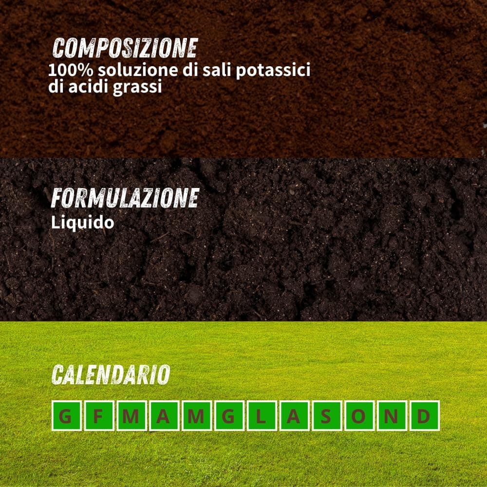 Sapone Molle Lt. 1 - Vithal in Concentrati Spray BricoGo - Marano di Napoli, commercioVirtuoso.it