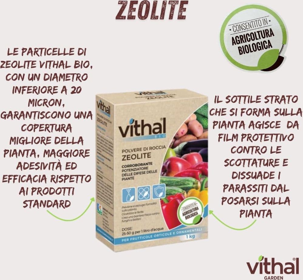 Vithal Integratore Di Zeolite Per Piante Kg. 1 in Disintossicazione e purificazione BricoGo - Marano di Napoli, commercioVirtuoso.it