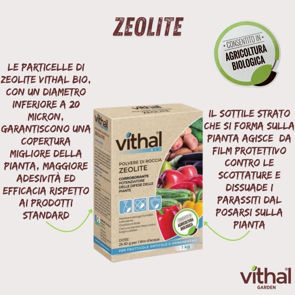Vithal Integratore Di Zeolite Per Piante Kg. 1 in Disintossicazione e purificazione BricoGo - Marano di Napoli, commercioVirtuoso.it