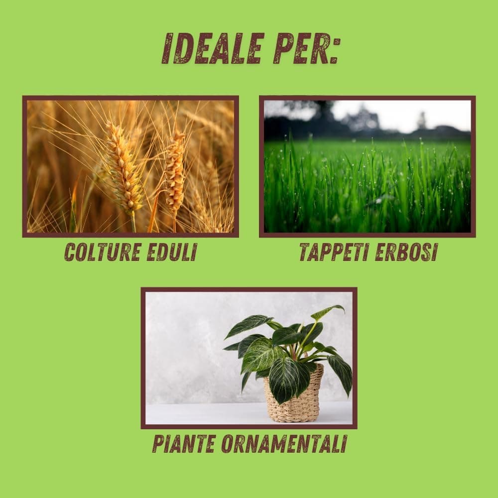 Vithal Integratore Di Zeolite Per Piante Kg. 1 in Disintossicazione e purificazione BricoGo - Marano di Napoli, commercioVirtuoso.it