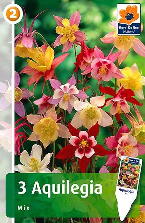 Semi per Prato Universale Aquilegia Miscuglio Sgaravatti 20 Pezzi