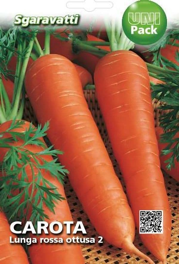 Semi per Ortaggi e Vegetali Carota Lunga Ottusa Sgaravatti 20 Pezzi