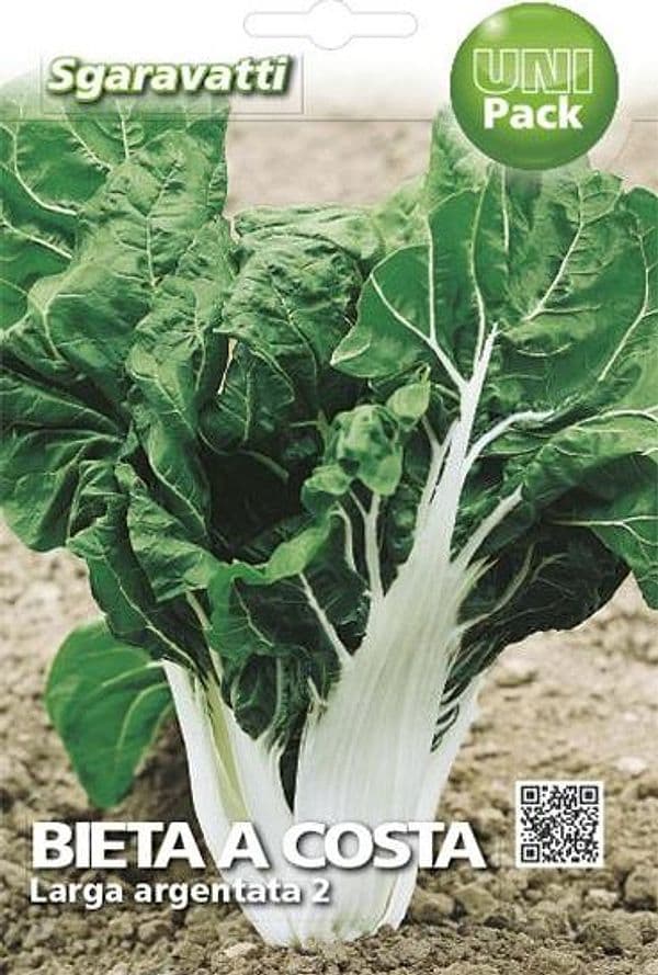 Semi Per Ortaggi E Vegetali Bieta Verde Costa Larga Argentata- 10 Pezzi - Sgaravatti in Vegetali BricoGo - Marano di Napoli, commercioVirtuoso.it