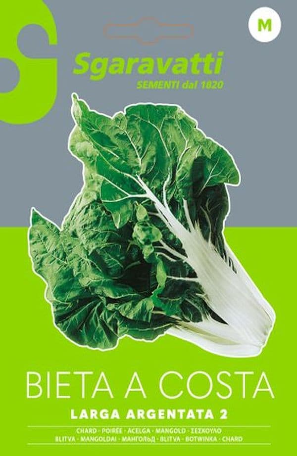 Semi Per Ortaggi E Vegetali Bieta Verde Costa Larga Argentata- 10 Pezzi - Sgaravatti in Vegetali BricoGo - Marano di Napoli, commercioVirtuoso.it