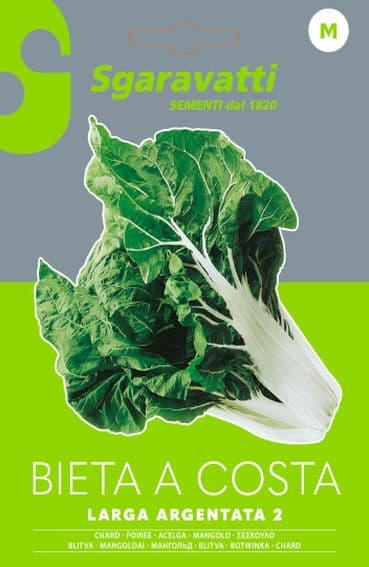 Semi Per Ortaggi E Vegetali Bieta Verde Costa Larga Argentata- 10 Pezzi - Sgaravatti in Vegetali BricoGo - Marano di Napoli, commercioVirtuoso.it