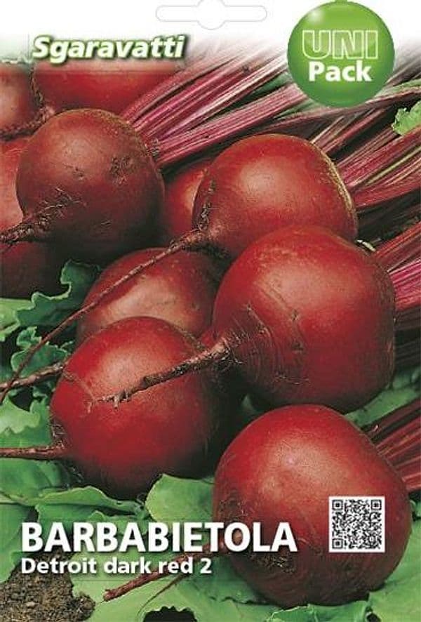 Semi Per Ortaggi E Vegetali Barbabietola Detroit 10 Pezzi - Sgaravatti in Vegetali BricoGo - Marano di Napoli, commercioVirtuoso.it