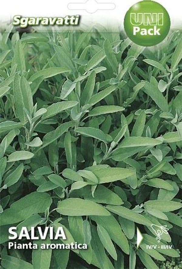 Semi Per Ortaggi E Vegetali Salvia Officinale 20 Pezzi - Sgaravatti in Erbe aromatiche BricoGo - Marano di Napoli, commercioVirtuoso.it