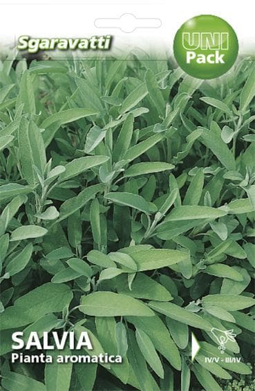 Semi Per Ortaggi E Vegetali Salvia Officinale 20 Pezzi - Sgaravatti in Erbe aromatiche BricoGo - Marano di Napoli, commercioVirtuoso.it
