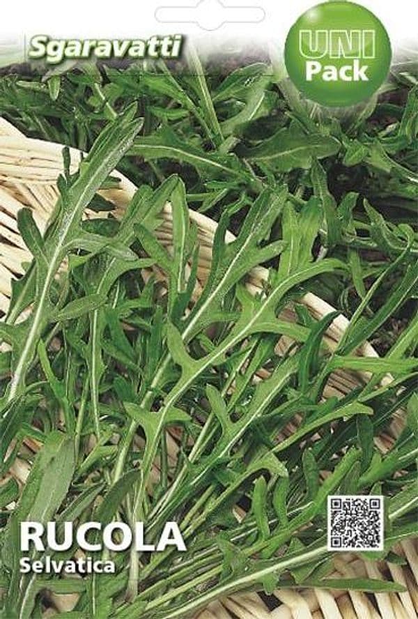 Semi Per Ortaggi E Vegetali Rucola Selvatica 20 Pezzi - Sgaravatti in Vegetali BricoGo - Marano di Napoli, commercioVirtuoso.it