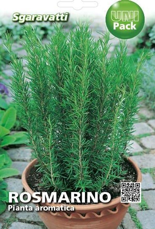 Semi Per Ortaggi E Vegetali Rosmarino 20 Pezzi - Sgaravatti in Erbe aromatiche BricoGo - Marano di Napoli, commercioVirtuoso.it