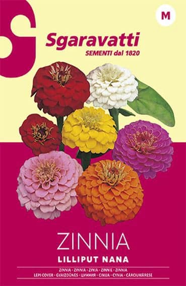Semi Per Prato Universale Fior Di Zinnia Lilliput Nanna- 20 Pezzi - Sgaravatti in Fiori BricoGo - Marano di Napoli, commercioVirtuoso.it