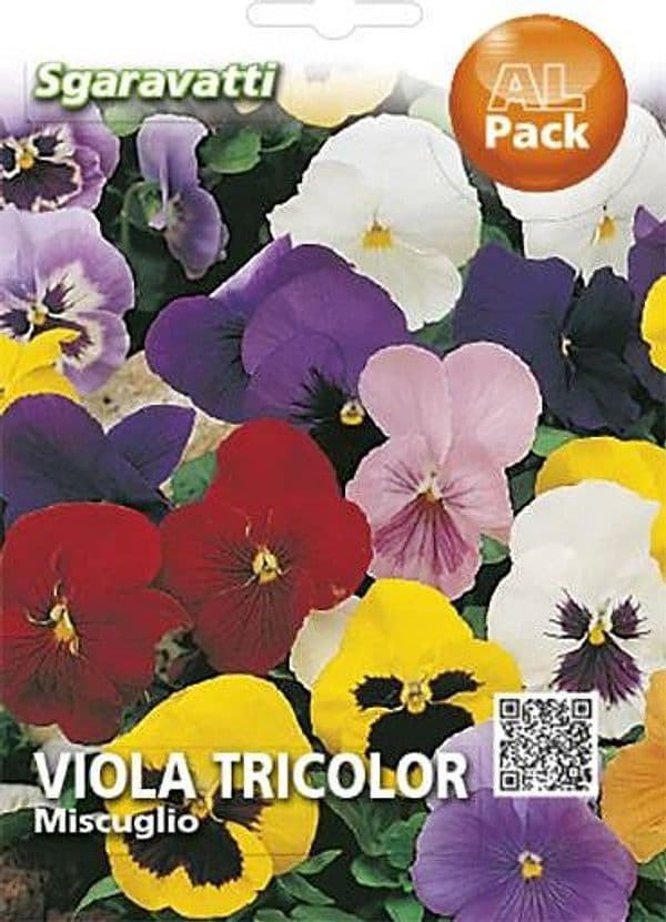 Semi Per Prato Universale Viola Tricolor Miscuglio 20 Pezzi - Sgaravatti in Prato BricoGo - Marano di Napoli, commercioVirtuoso.it