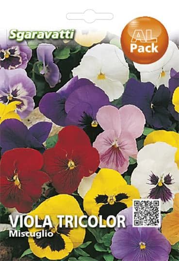 Semi Per Prato Universale Viola Tricolor Miscuglio 20 Pezzi - Sgaravatti in Prato BricoGo - Marano di Napoli, commercioVirtuoso.it