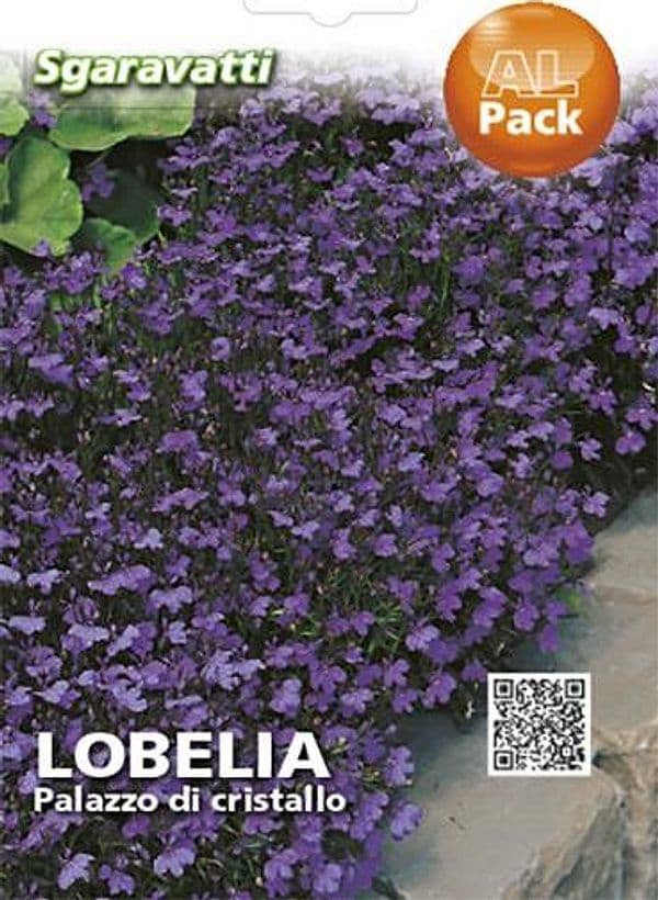 Semi per Prato Universale Lobelia Palazzo di Cristallo Sgaravatti 20 Pezzi