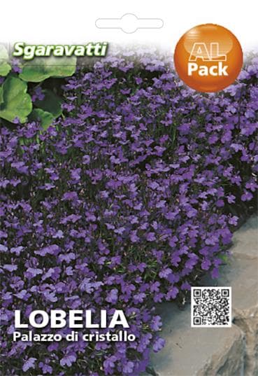 Semi per Prato Universale Lobelia Palazzo di Cristallo Sgaravatti 20 Pezzi