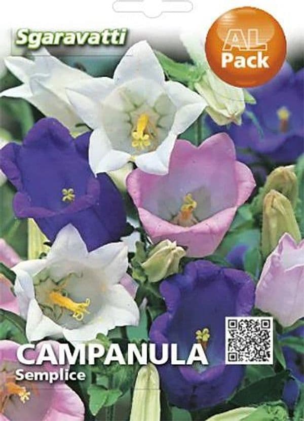 Semi Per Prato Universale Campanula Semplice 20 Pezzi - Sgaravatti in Fiori BricoGo - Marano di Napoli, commercioVirtuoso.it