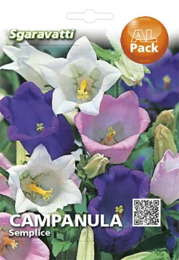 Semi Per Prato Universale Campanula Semplice 20 Pezzi - Sgaravatti in Fiori BricoGo - Marano di Napoli, commercioVirtuoso.it