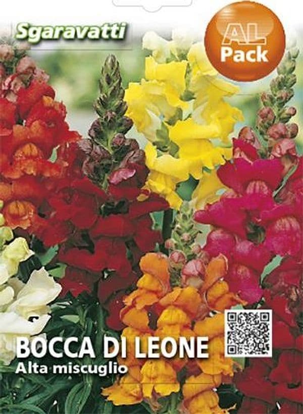 Semi Per Prato Universale Bocca Di Leone 20 Pezzi - Sgaravatti in Prato BricoGo - Marano di Napoli, commercioVirtuoso.it