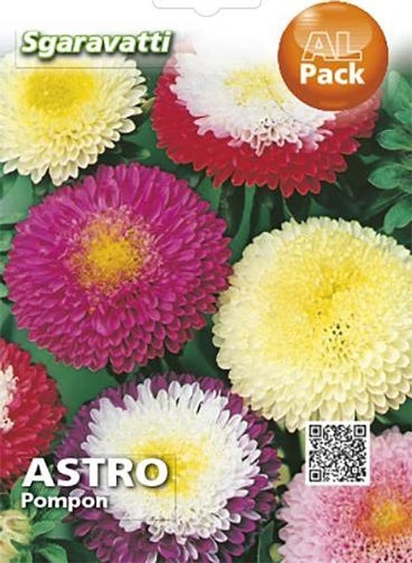 Semi Per Prato Universale Astro Pompon- 20 Pezzi - Sgaravatti in Prato BricoGo - Marano di Napoli, commercioVirtuoso.it