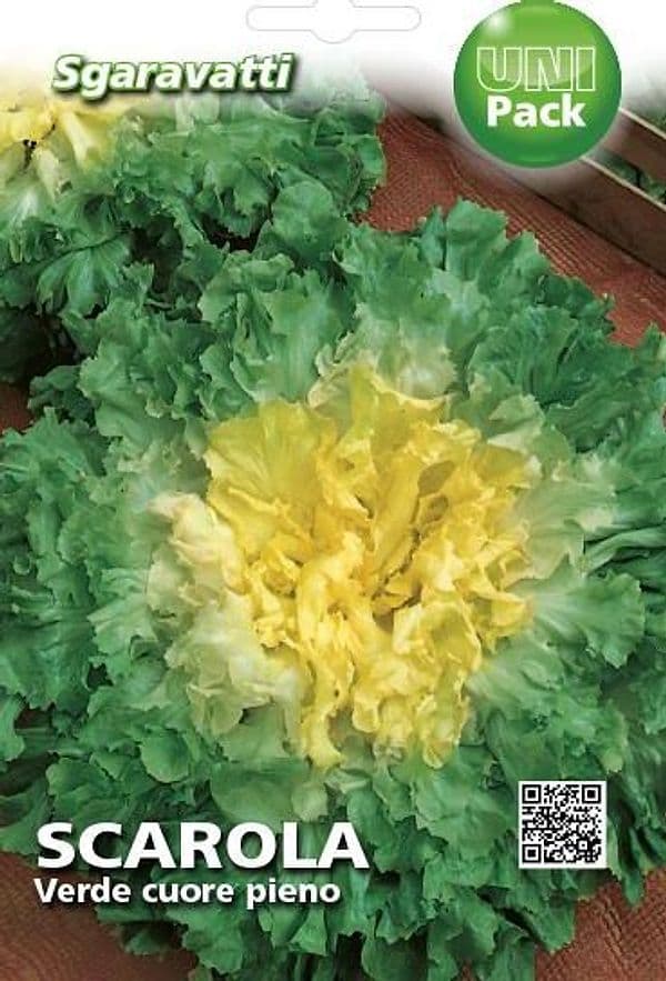 Semi Per Ortaggi E Vegetali Scarola Verde Cuore Pieno 20 Pezzi - Sgaravatti in Vegetali BricoGo - Marano di Napoli, commercioVirtuoso.it