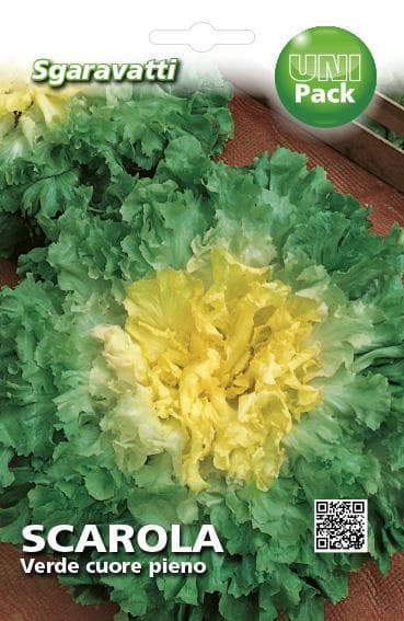Semi Per Ortaggi E Vegetali Scarola Verde Cuore Pieno 20 Pezzi - Sgaravatti in Vegetali BricoGo - Marano di Napoli, commercioVirtuoso.it