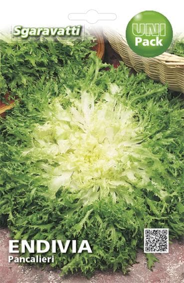 Semi Per Ortaggi E Vegetali Endivia Riccia Pancalieri 20 Pezzi - Sgaravatti in Vegetali BricoGo - Marano di Napoli, commercioVirtuoso.it