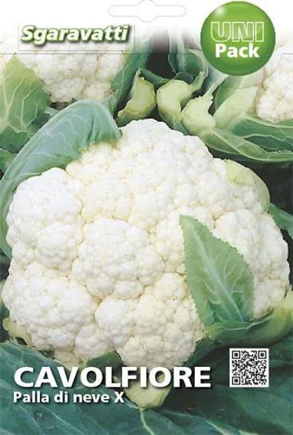 Semi Per Ortaggi E Vegetali Cavolfiore Palla Di Neve X 20 Pezzi - Sgaravatti in Vegetali BricoGo - Marano di Napoli, commercioVirtuoso.it