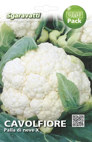 Semi Per Ortaggi E Vegetali Cavolfiore Palla Di Neve X 20 Pezzi - Sgaravatti in Vegetali BricoGo - Marano di Napoli, commercioVirtuoso.it