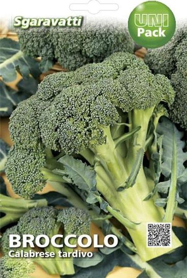 Semi Per Ortaggi E Vegetali Broccolo Ramoso Calabrese Tardivo 20 Pezzi - Sgaravatti in Vegetali BricoGo - Marano di Napoli, commercioVirtuoso.it