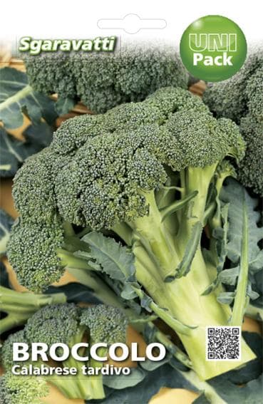 Semi Per Ortaggi E Vegetali Broccolo Ramoso Calabrese Tardivo 20 Pezzi - Sgaravatti in Vegetali BricoGo - Marano di Napoli, commercioVirtuoso.it